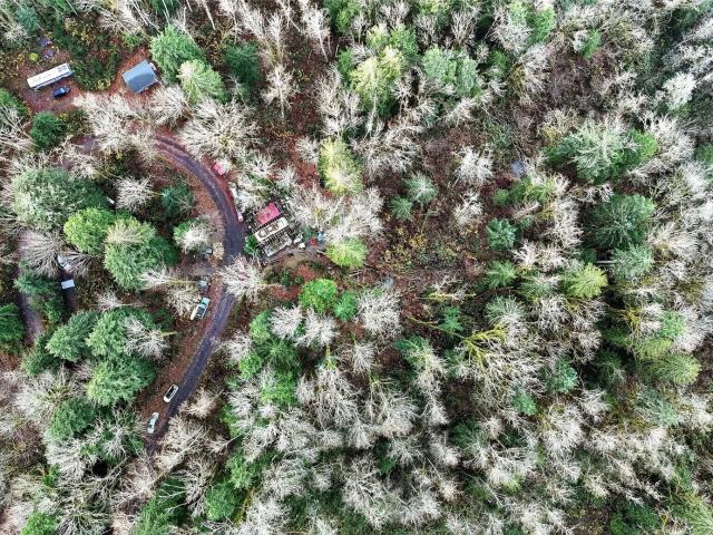 Land for sale in Gold Bar, Washington