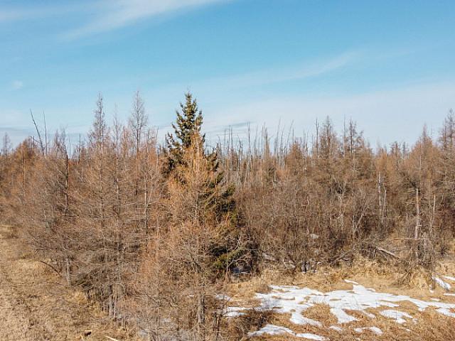 Land for sale in Steinbach, Manitoba