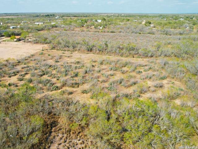 Land for sale in Christine, Texas