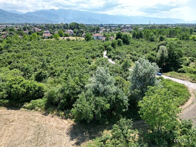 Düzce Merkez, Düzce içerisinde satılık Arsa