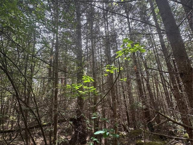 Land for sale in Cappy's, Port Townsend