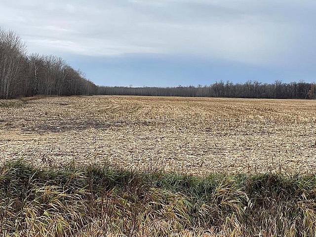 Land for sale in Portage La Prairie, Manitoba