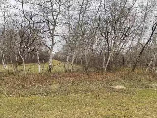 House for sale in Municipality of Norfolk Treherne, Manitoba