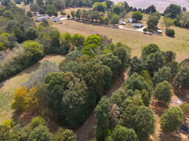 Land for sale in Florence, Lauderdale County