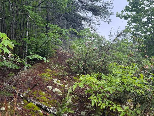Land for sale in Lakemont, Georgia