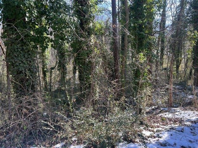 Land for sale in Virginia
