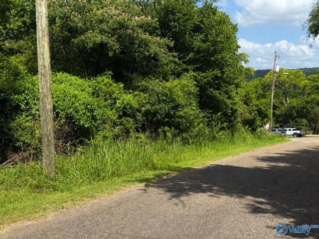 Land for sale in Etowah, Alabama
