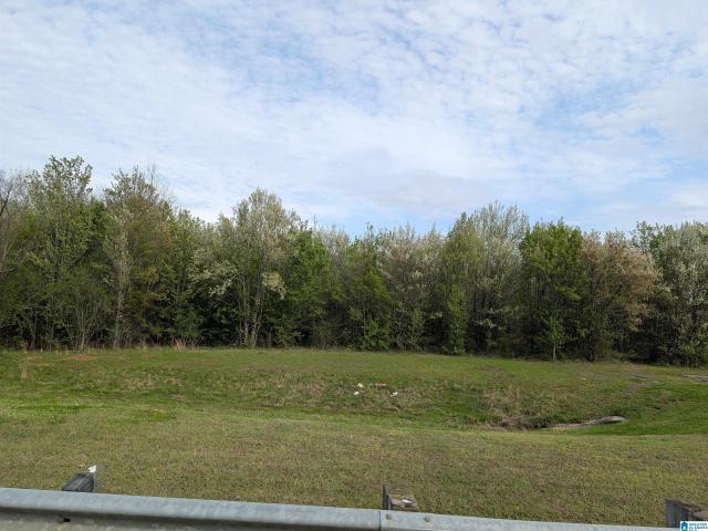 Land for sale in Eastaboga, Alabama