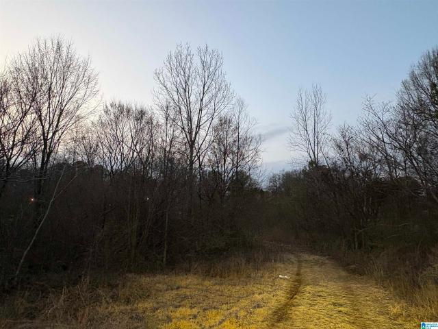 Land for sale in Bessemer, Alabama