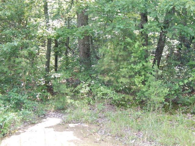 Land for sale in Tennessee