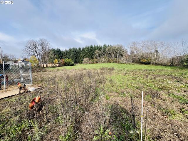 Land for sale in Oregonia