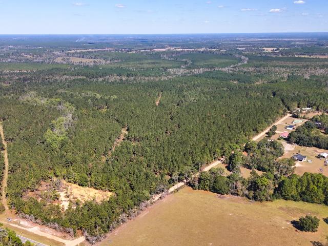 Land for sale in Alma, Georgia