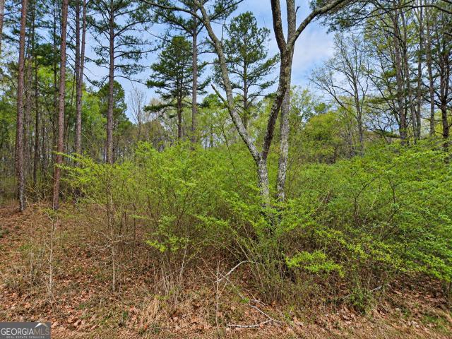 Land for sale in Summerville, Georgia