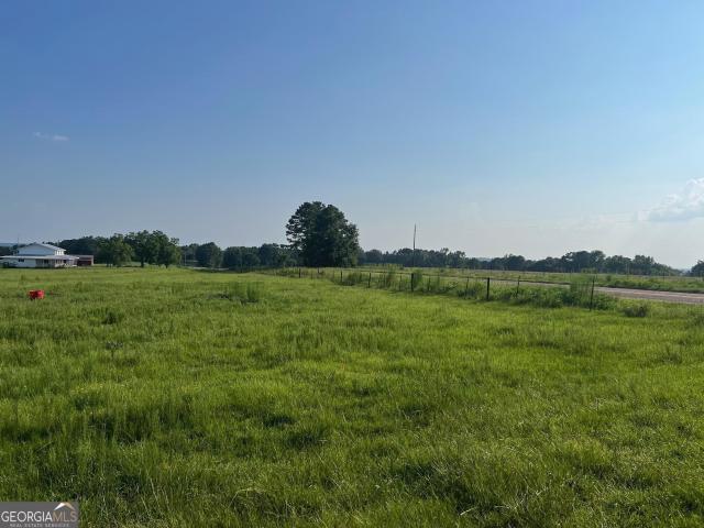 Land for sale in Clayton, Alabama