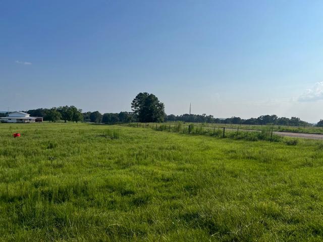 Land for sale in Clayton, Alabama