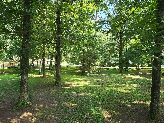 Land for sale in Rainsville, DeKalb County