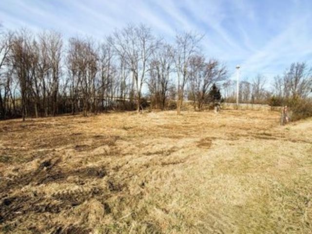 Land for sale in Williamstown, Kentucky