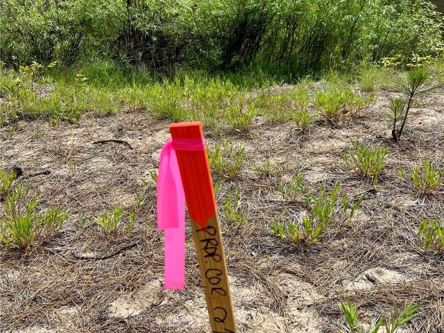 Land for sale in Kettle Falls, Washington