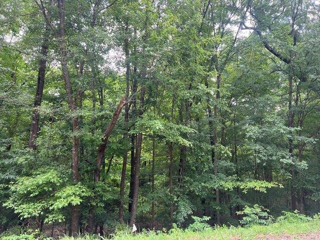 Land for sale in Virginia