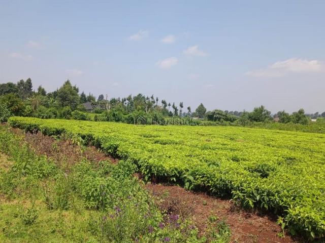 Land for sale in Kiambu
