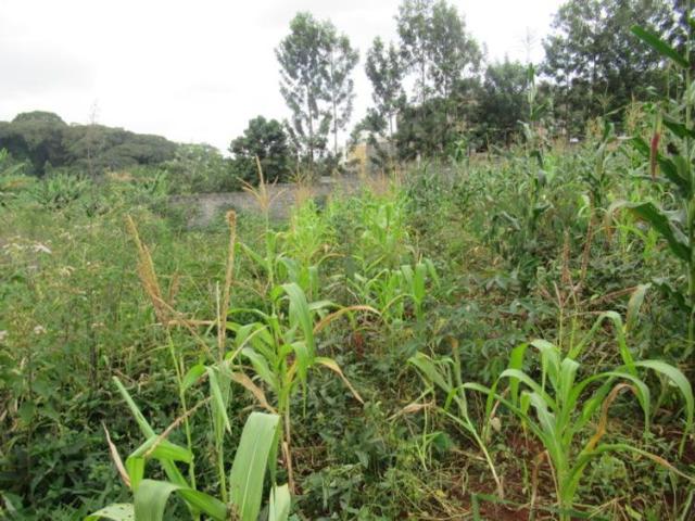 Land for sale in Thindigwa, Kiambu