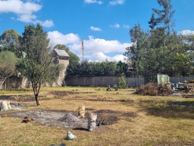 Commercial for rent in Karen, Kiambu