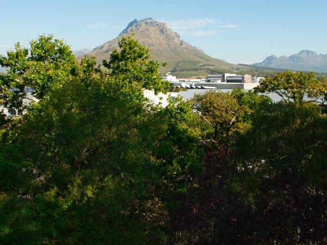 Apartment for rent in Pniel, Western Cape