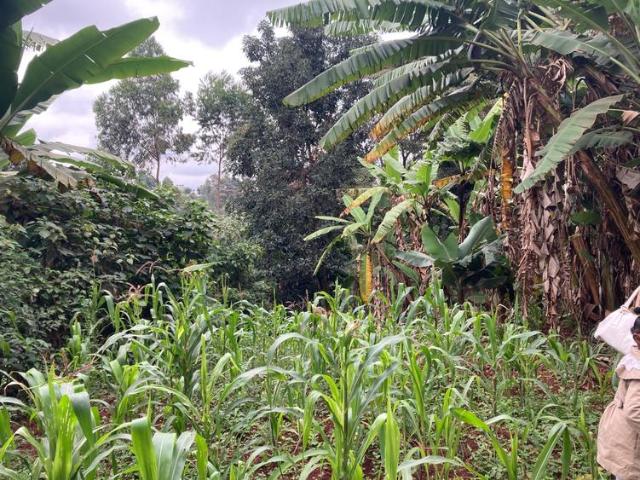Land for sale in Kiambaa, Ruaka
