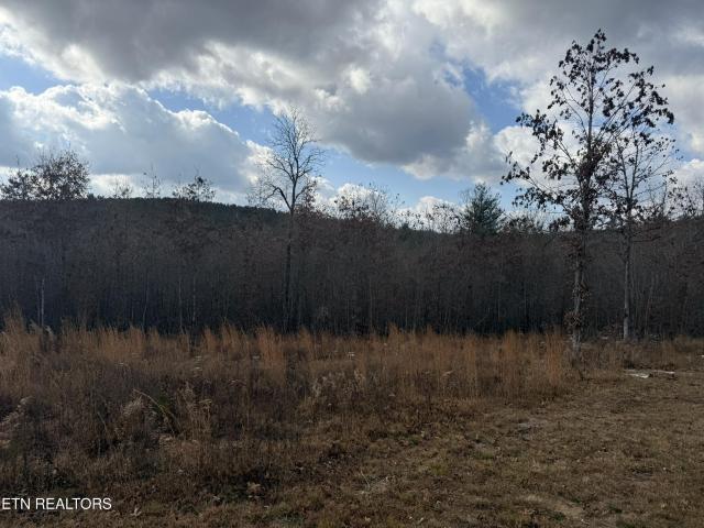 Land for sale in Tennessee