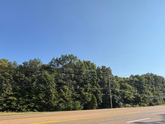 Land for sale in Germantown, West Tennessee