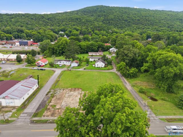 Land for sale in Stevenson, Alabama