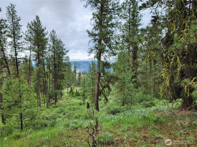 Land for sale in Republic, Washington