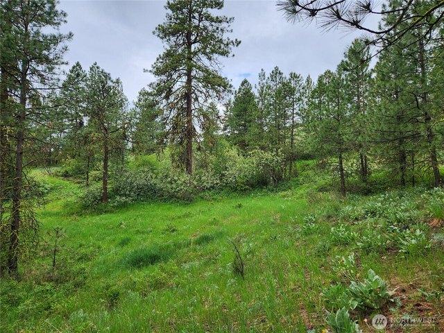 Land for sale in Republic, Washington