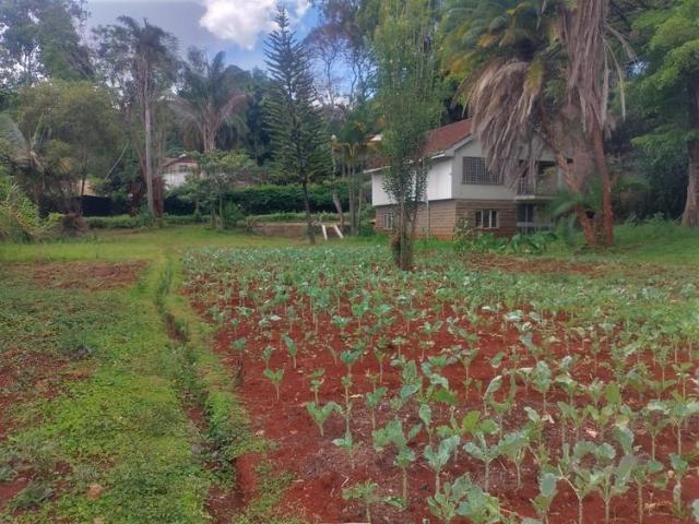 Land for sale in Kyuna, Westlands