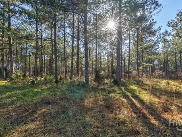 Land for sale in Carlton, Georgia