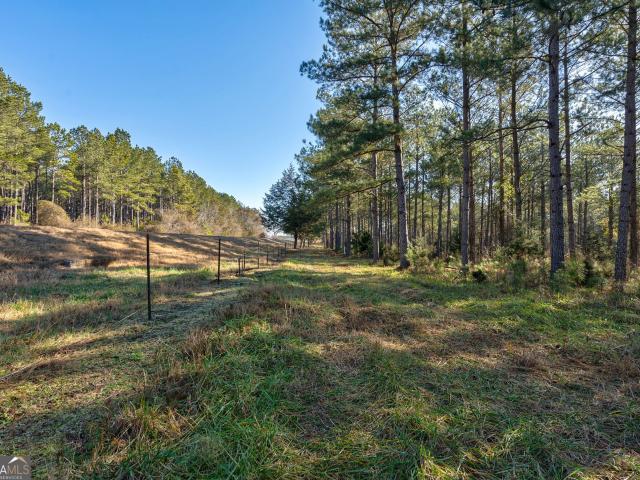 Land for sale in Carlton, Georgia