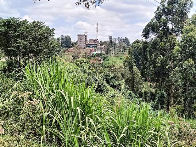 Land for sale in Ruaka, Kiambaa