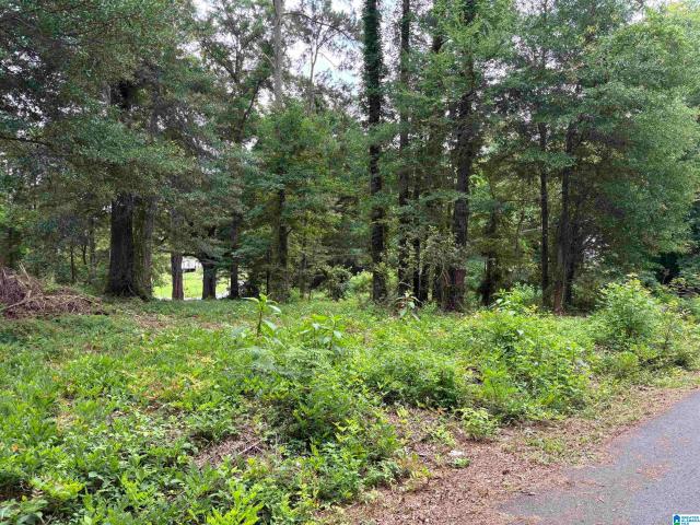 Land for sale in Ashville, Alabama