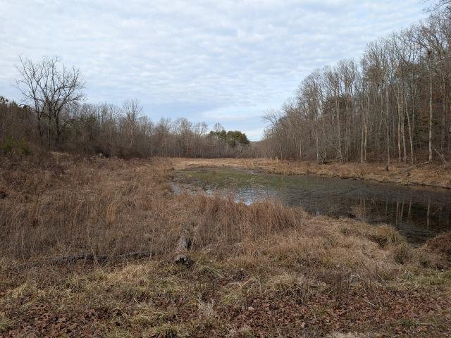 Land for sale in Tennessee
