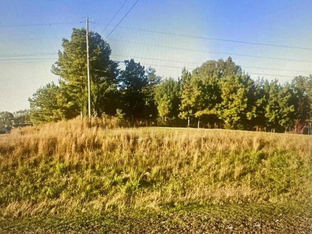 Land for sale in Town Creek, Alabama
