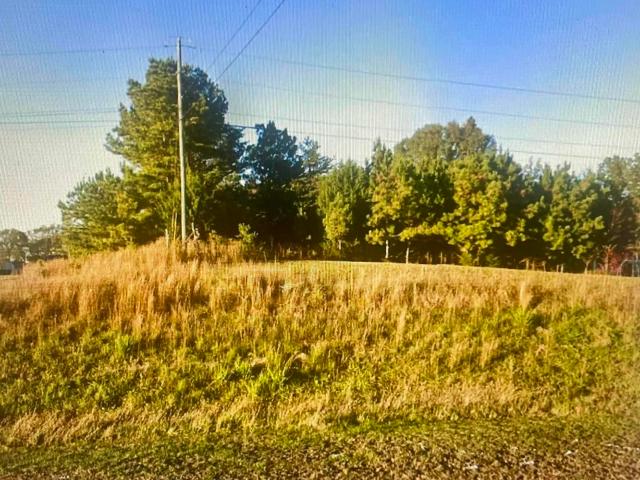 Land for sale in Town Creek, Alabama
