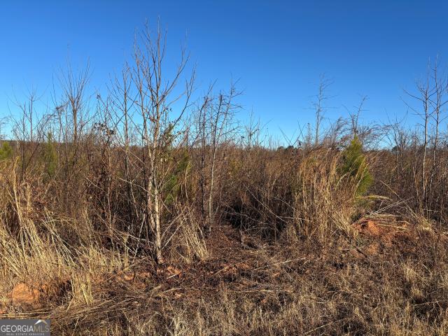 Land for sale in Monroe, Georgia