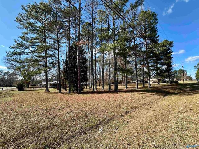 Land for sale in Etowah, Alabama