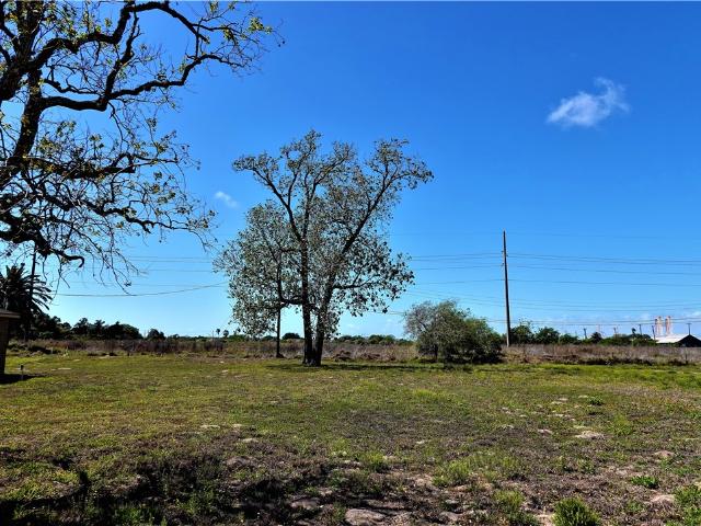 Land for sale in San Patricio, Texas
