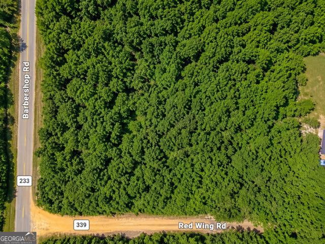 Land for sale in Unadilla, Georgia