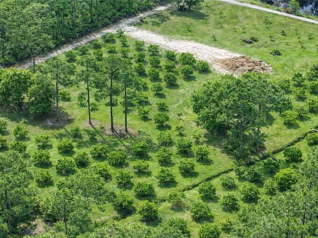 Land for sale in Fellsmere, Florida