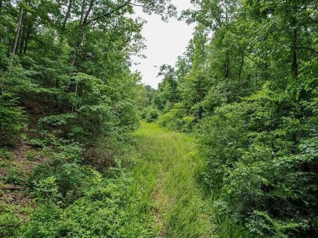 Land for sale in Tennessee