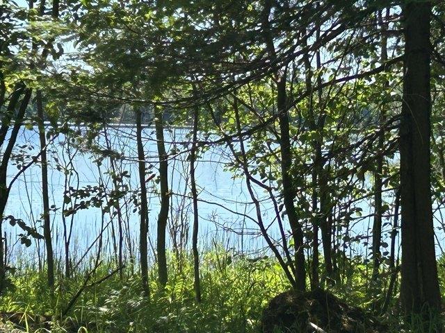 Land for sale in Trout Lake, Michigan