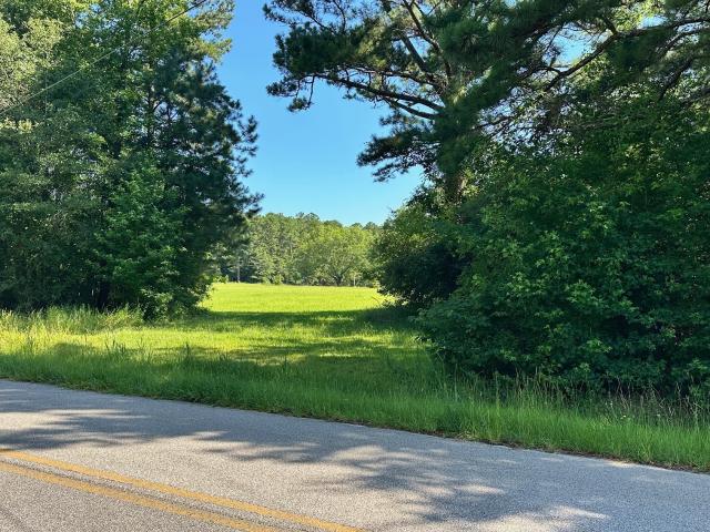 Land for sale in White Plains, Georgia