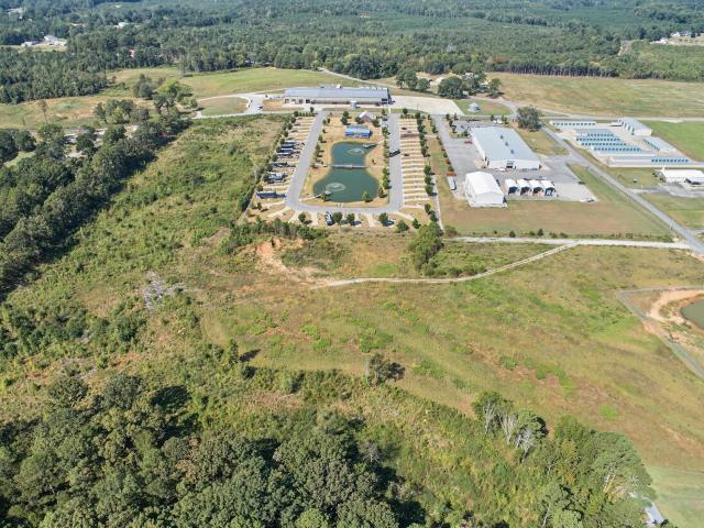 Land for sale in Red Bay, Franklin County